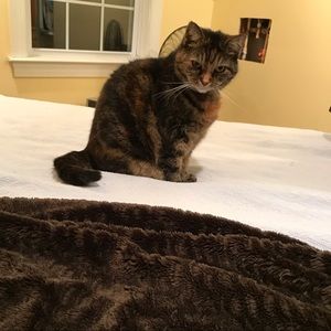 Meet your Posher, Jackie